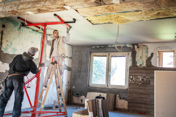 Best Spray Foam Insulation in Anza, CA