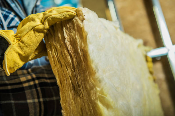 Types of Insulation We Offer in Anza, CA