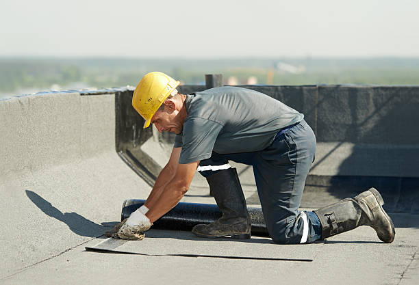 Best Insulation Maintenance and Repair in Anza, CA