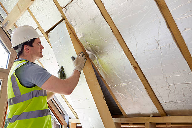 Best Eco-Friendly Insulation in Anza, CA