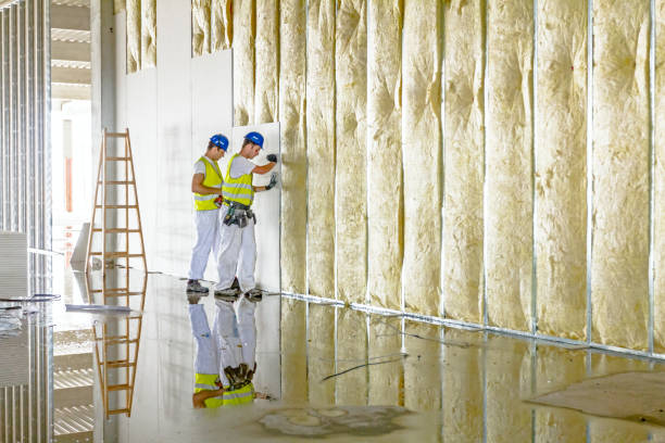 Best Fiberglass Insulation in Anza, CA